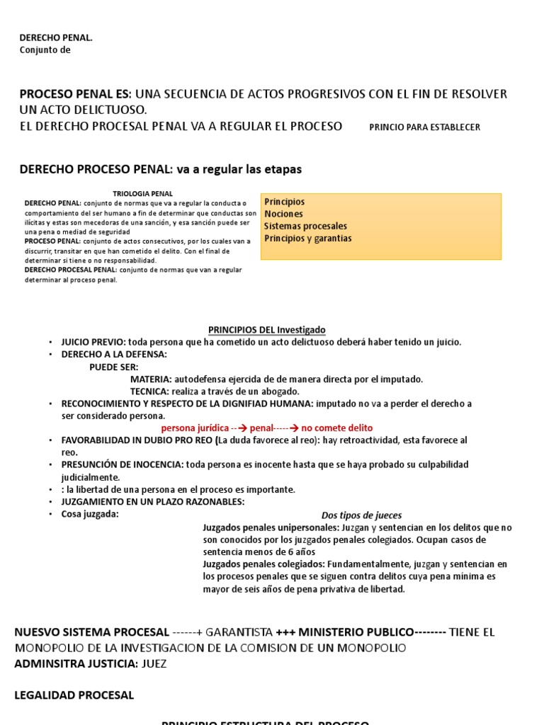 Proceso Penal: Etapas y Principios Clave | PDF | Derecho penal | Ley ...