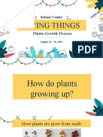 Plants Growing