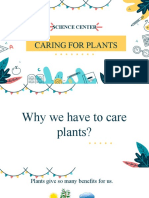 How To Care Plants
