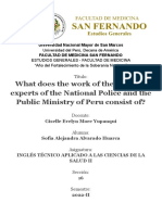 What Does The Work of The Forensic Experts of The National Police and The Public Ministry of Peru Consist of