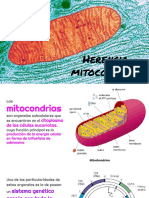 Herencia Mitocondrial