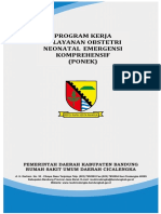 Program Kerja PONEK