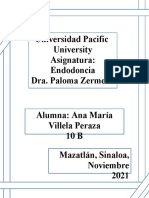 Retratamiento Endodontico