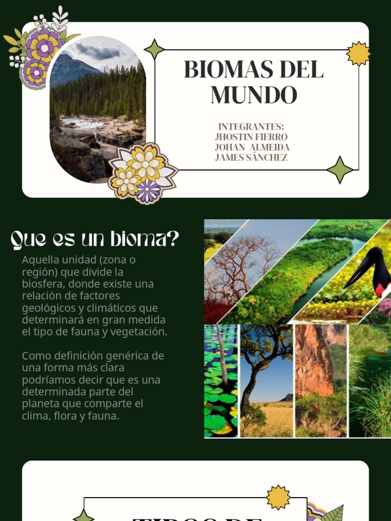 Biomas del Mundo: Definición y Tipos | PDF | Desierto | Ecología de ...