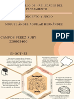 Concepto y Juicio Campos Perez Ruby