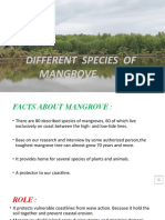 Mangrove Ssssss