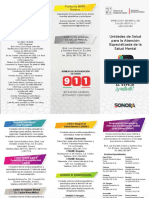 TRIPTICO DIRECTORIO DGSMA para PFAE OK