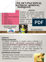 02 PDF Higiene Ocupacional