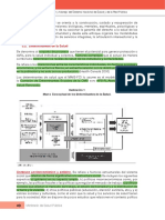 3.2. Determinantes de La Salud