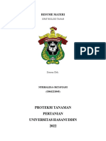 Resume DDIT Pekan 6 - NURHALISA OKTAVIANI (G061221045)