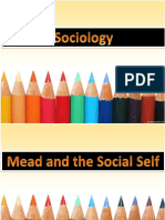 Society and The Self, Mead-Etc