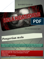 MOLA