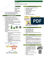 C4 - Microbial Diversity pt1