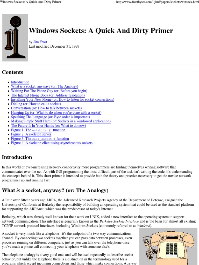 Windows Sockets Primer for Beginners | PDF | Network Socket | Domain Name