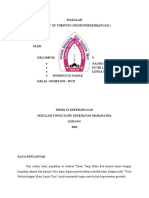 Makalah Teori Perkembangan Pada Lansia