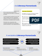 Framework Da Lideranca Humanizada