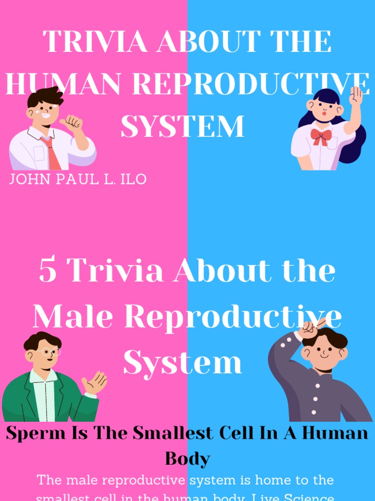 Trivia About The Human Reproductive System | PDF | Testicle | Sperm
