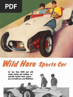 Wild Hare Sports Car