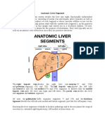 Anatomic Liver Segments