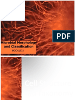 Microbial Morphology and Classification