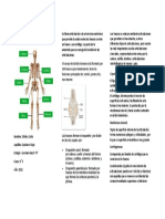 Triptico de Osteoligia