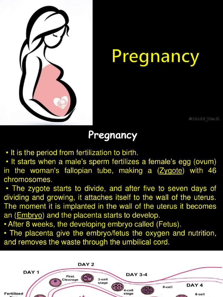 Pregnancy | PDF