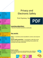 Privacy and Electronic Safety