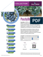 FCC PeachyBlue Promo Pg1 ES 092121