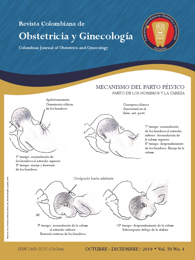 Gineco Obstetricia | PDF | Parto | Economía de la Salud
