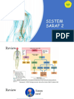 P3 - Sistem Saraf 2