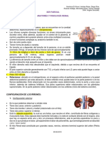 2.anatomia y Fisiologia Renal