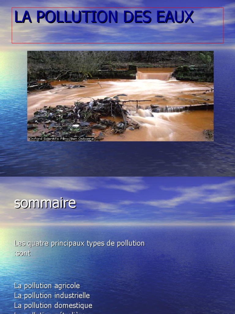 Pollution de l'eau enjeux et types PDF la pollution Épuration — free download