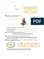 Test Po Dziale V Kregowce Stalociepln