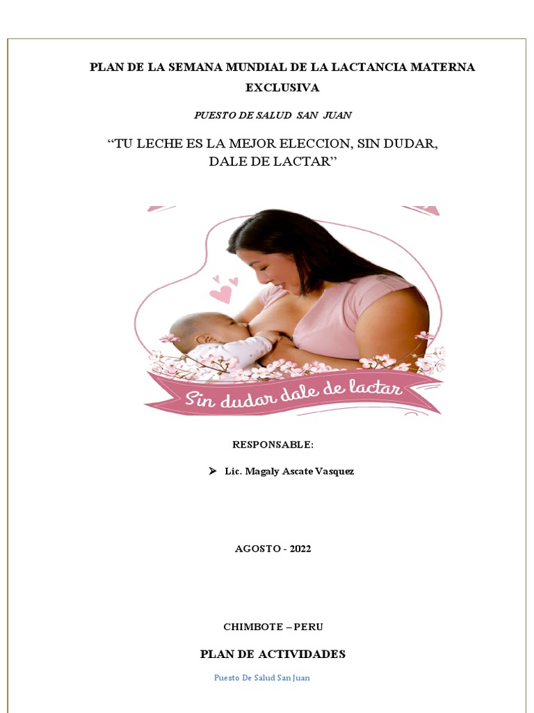 2022 - Plan de La Lactancia Materna San Juan | PDF | Amamantamiento ...
