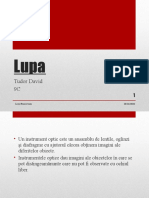 Lupa