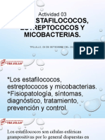 Actividad 03