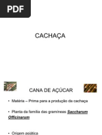 CACHAÇA