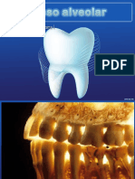 Anatomiadentalhuesoalveolar 150908000717 Lva1 App6892