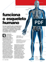 Quero Saber - Corpo Humano - Coluna Vertebral