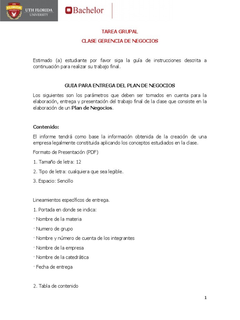 Guía para Elaborar un Plan de Negocios | PDF