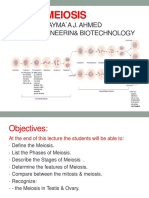 Understanding Meiosis