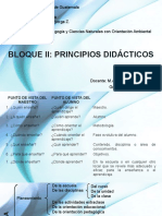 Principios Didácticos E100