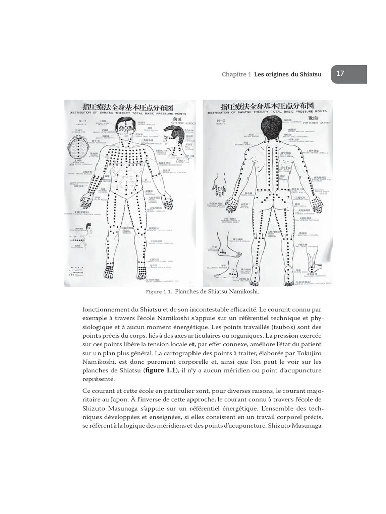 Masunaga Points | PDF