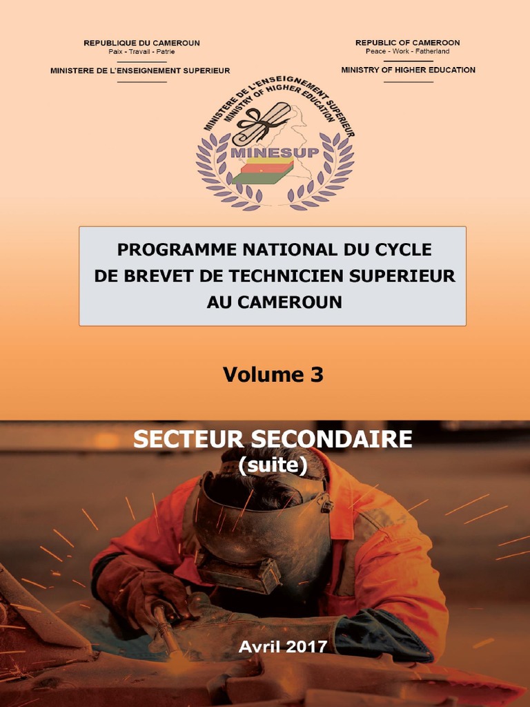 Programme BTS Mécatronique 2024 Cameroun | PDF | Fonction ...
