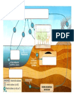 SCHEMA CYCLE DE CARBONE VIERGE (1)