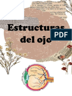 Estructuras Del Ojo.1