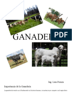 Ganaderia