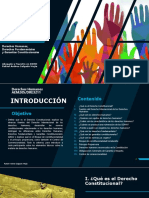 Derechos Humanos, Derechos Fundamentales y Garantías Constitucionales