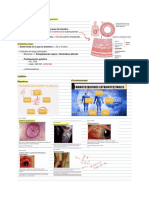 Enfermedades Intestinales Inflamatorias (Eii)