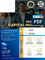 Curso SAP HCM Gestión Del Capital Humano Summa Center